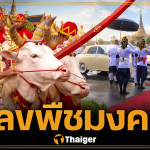เลขมงคล ในหลวง เสด็จฯ พิธีแรกนาขวัญ 2569 เลขทะเบียนรถ