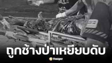 เจ้าหน้าที่พิทักษ์ป่า ถูกช้างป่าเหยียบเสียชีวิต