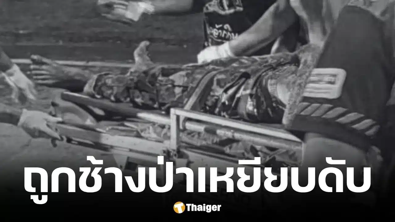 เจ้าหน้าที่พิทักษ์ป่า ถูกช้างป่าเหยียบเสียชีวิต