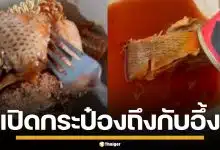 หนุ่มเปิดปลากระป๋อง เทใส่จานถึงกับอึ้ง เจอ "แมคเคอเรลคางดำ" บริษัทติดต่อชดเชยแล้ว