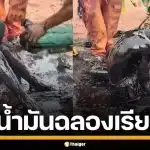 สุดแปลก! พิธีฉลองความสำเร็จ หนุ่มเรียนจบ คว้าปริญญาวิศวะ ถูกเทน้ำมันใส่จนตัวดำปี๋