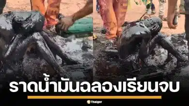 สุดแปลก! พิธีฉลองความสำเร็จ หนุ่มเรียนจบ คว้าปริญญาวิศวะ ถูกเทน้ำมันใส่จนตัวดำปี๋