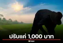 ด่วน! จับชาวนารายแรก เผานา 28 ไร่พิษณุโลก ใจเด็ดขวางรถดับเพลิง ปรับแค่ 1,000 บาท