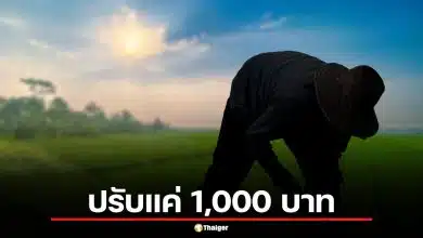 ด่วน! จับชาวนารายแรก เผานา 28 ไร่พิษณุโลก ใจเด็ดขวางรถดับเพลิง ปรับแค่ 1,000 บาท
