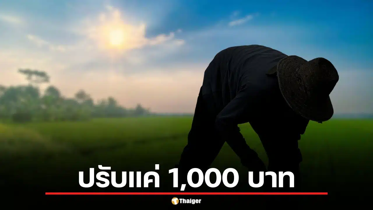 ด่วน! จับชาวนารายแรก เผานา 28 ไร่พิษณุโลก ใจเด็ดขวางรถดับเพลิง ปรับแค่ 1,000 บาท