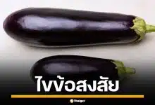 ไขข้อข้องใจ "จู๋เลือด" กับ "จู๋เนื้อ" ต่างกันอย่างไร แบบไหนเจอได้เยอะกว่ากัน