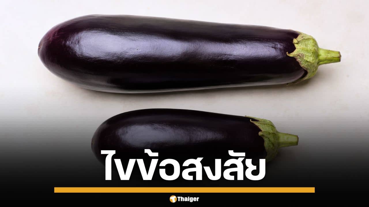 ไขข้อข้องใจ "จู๋เลือด" กับ "จู๋เนื้อ" ต่างกันอย่างไร แบบไหนเจอได้เยอะกว่ากัน