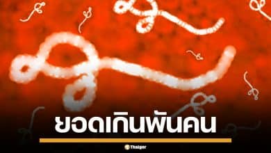 ยอดผู้สงสัยติด "อีโบลา" ในคองโกเกิน 1,000 ราย ยูกันดา สั่งปิดพรมแดนสกัดเชื้อ