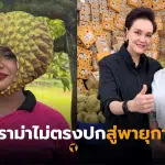 พิมรี่พาย ศุภจี ทุเรียนลูกละ 100