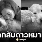 แฟนๆ เศร้า "เจได" กลับดาวหมาแล้ว หลังต่อสู่โรคมะเร็งหลอดเลือด อย่างถึงที่สุด
