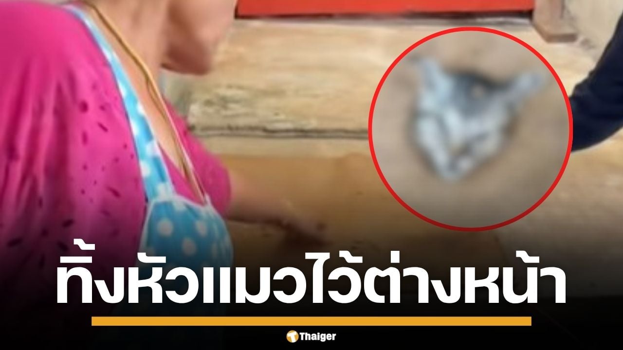แม่ค้าช็อกเจอ หัวแมวถูกตัดทิ้งให้ดูต่างหน้า ขณะให้อาหาร เชื่อถูกข่มขู่