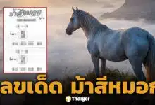 เลขเด็ด ม้าสีหมอก งวด 1 มิถุนายน 2569