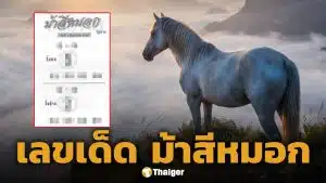 เลขเด็ด ม้าสีหมอก งวด 1 มิถุนายน 2569
