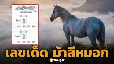 เลขเด็ด ม้าสีหมอก งวด 1 มิถุนายน 2569