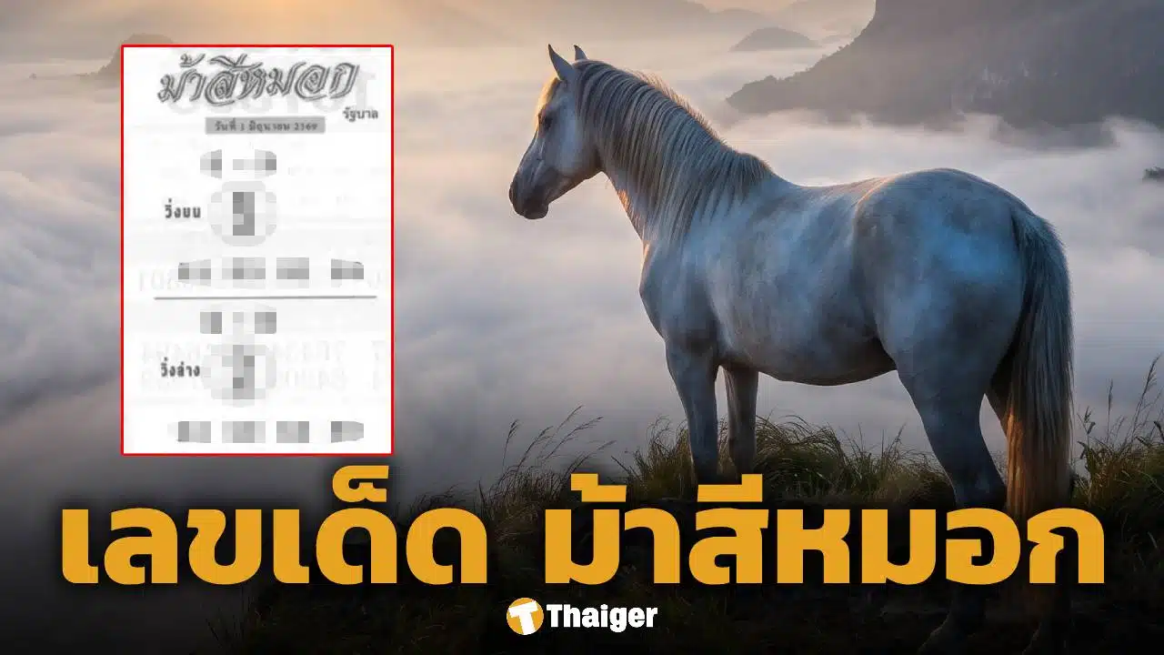 เลขเด็ด ม้าสีหมอก งวด 1 มิถุนายน 2569