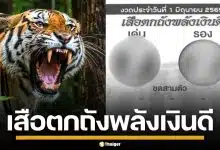 เลขเด็ด เสือตกถังพลังเงินดี งวด 1/6/69 จับตาเด่น ระวังเลขเบิ้ล เตรียมรับทรัพย์รัวๆ