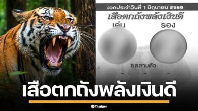 เลขเด็ด เสือตกถังพลังเงินดี งวด 1/6/69 จับตาเด่น ระวังเลขเบิ้ล เตรียมรับทรัพย์รัวๆ