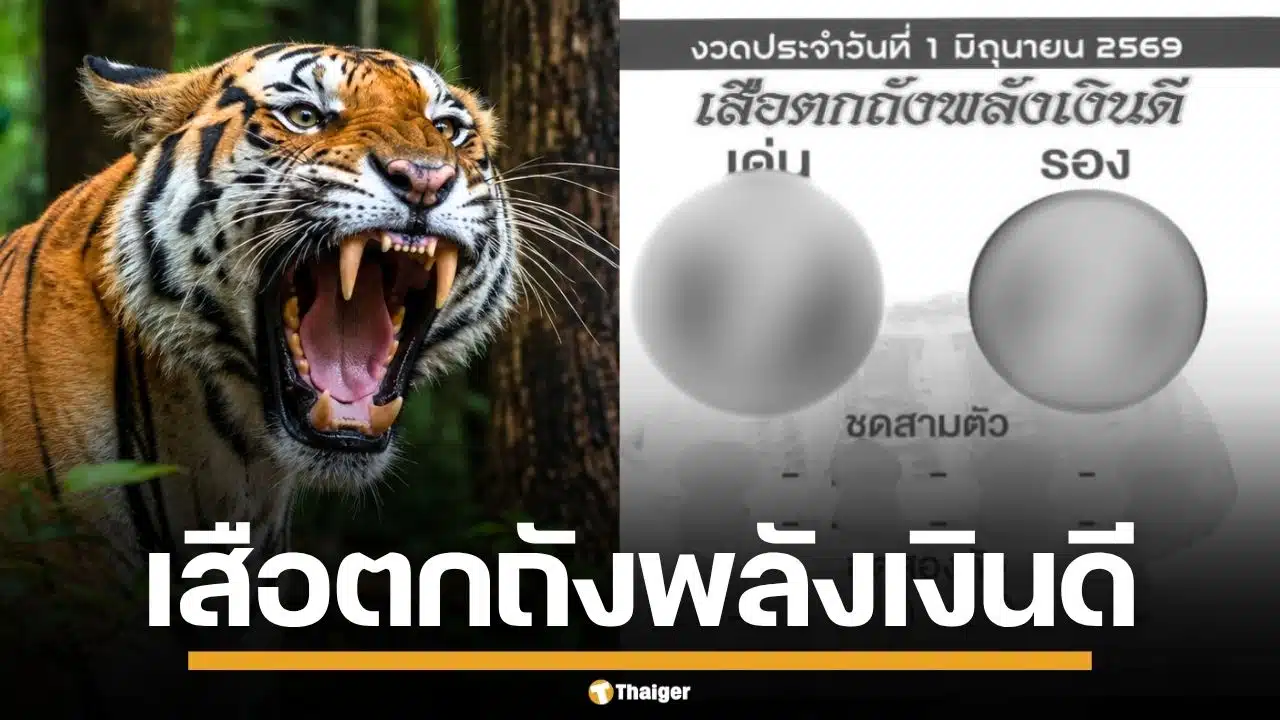 เลขเด็ด เสือตกถังพลังเงินดี งวด 1/6/69 จับตาเด่น ระวังเลขเบิ้ล เตรียมรับทรัพย์รัวๆ