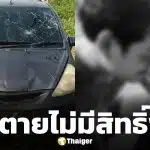 พี่ชาย เดือด! เด็กกำพร้าพ่อ เพราะความแค้น สงสัยเปย์จริง? ทำไมน้องยังทักมายืมเงิน