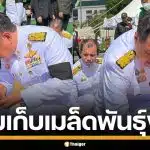 นายกฯ "อนุทิน" ร่วมวงเก็บ เมล็ดข้าวพระราชทาน เตรียมปลูกเป็นสิริมงคล