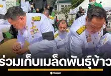 นายกฯ "อนุทิน" ร่วมวงเก็บ เมล็ดข้าวพระราชทาน เตรียมปลูกเป็นสิริมงคล