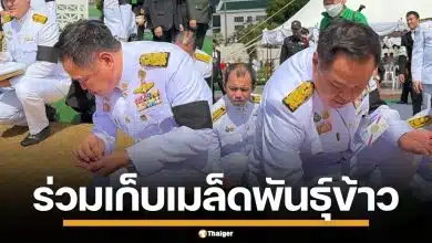 นายกฯ "อนุทิน" ร่วมวงเก็บ เมล็ดข้าวพระราชทาน เตรียมปลูกเป็นสิริมงคล