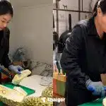 เจ้าฟ้าสิริวัณณวรีฯ ทรงปอกทุเรียนด้วยพระองค์เอง การันตีคุณภาพทุเรียนไทย สู่สายตาคนทั้งโลก
