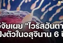ผลวิจัยพบ ไวรัสฮันตา ฝังตัวในอสุจินาน 6 ปี แม้หายป่วย เสี่ยงติดต่อทางเพศสัมพันธ์