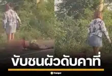 เมียโหด! ขับรถพุ่งชนผัว ดับสลดคาถนน สารภาพแค้น โดนหลอกสูบเงินนับล้าน