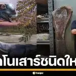 ฮือฮา! พบฟอสซิล "นาคาไททัน" ไดโนเสาร์ยักษ์ สายพันธุ์ใหม่ ใหญ่สุดในอาเซียน