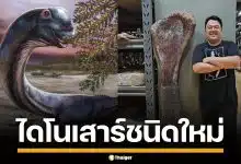 ฮือฮา! พบฟอสซิล "นาคาไททัน" ไดโนเสาร์ยักษ์ สายพันธุ์ใหม่ ใหญ่สุดในอาเซียน