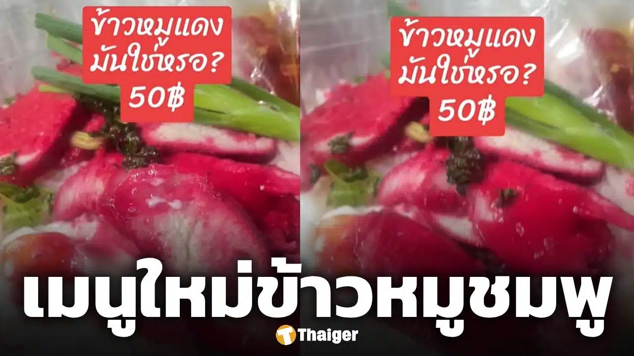 ช็อก! ข้าวหมูแดง ย้อมสีชมพูบานเย็น ชาวเน็ตแซวผิดสูตร 'สงสัยเจ้าของร้านมีความรัก'