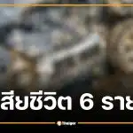 กระบะบรรทุกคนงานชนประสานงา จ.ชุมพร เสียชีวิต 6 ราย เจ็บ 3 ตำรวจเร่งสอบสาเหตุ