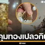 สคบ. สั่งคุมเข้มโฆษณา "ทองคำเปลว" อ้างฟู้ดเกรดกินได้ หวั่นผู้บริโภครับโลหะสะสม