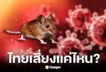 กรมควบคุมโรคยันไวรัสฮันตาในไทยเสี่ยงต่ำ ไม่พบการระบาด