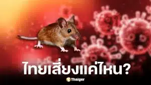 กรมควบคุมโรคยันไวรัสฮันตาในไทยเสี่ยงต่ำ ไม่พบการระบาด