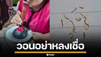 กรมการแพทย์ วอนอย่าหลงเชื่อ วิธีรักษา "แมงกินฟัน" แนะวิธีดูแลฟันอย่างถูกต้อง
