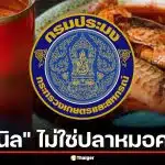 จบดราม่า กรมประมงยันปลากระป๋องฉาวใช้ "ปลานิล" ไม่ใช่ปลาหมอคางดำ ฟันข้อหาอาหารปลอม