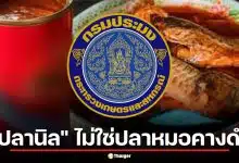 จบดราม่า กรมประมงยันปลากระป๋องฉาวใช้ "ปลานิล" ไม่ใช่ปลาหมอคางดำ ฟันข้อหาอาหารปลอม