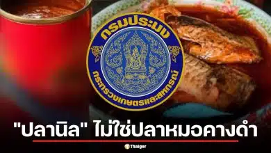 จบดราม่า กรมประมงยันปลากระป๋องฉาวใช้ "ปลานิล" ไม่ใช่ปลาหมอคางดำ ฟันข้อหาอาหารปลอม