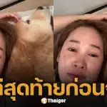 วินาทีสุดท้าย เจได ก่อนกลับดาวหมาตลอดกาล
