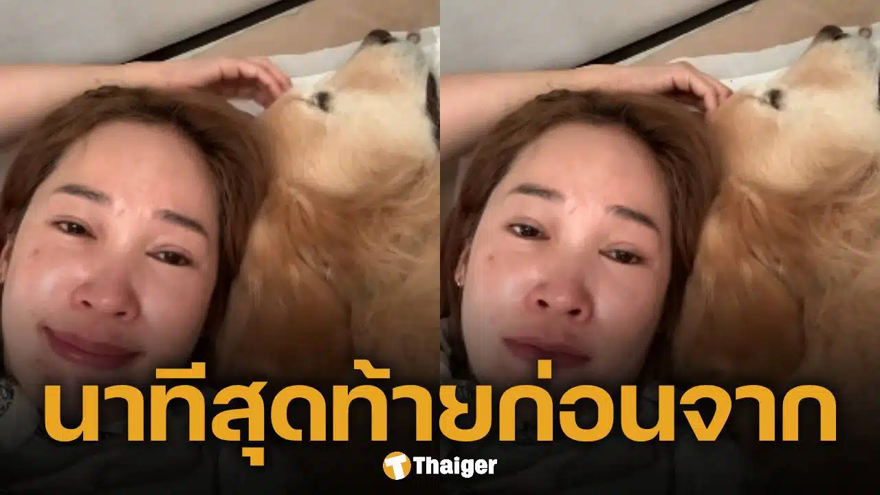 วินาทีสุดท้าย เจได ก่อนกลับดาวหมาตลอดกาล
