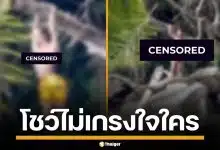 ทำไปได้! สาวต่างชาติ เปลือยผ้าล่อนจ้อน โชว์หุ่นแซ่บ โพสท่าสุดเย้ายวนกลางหาด