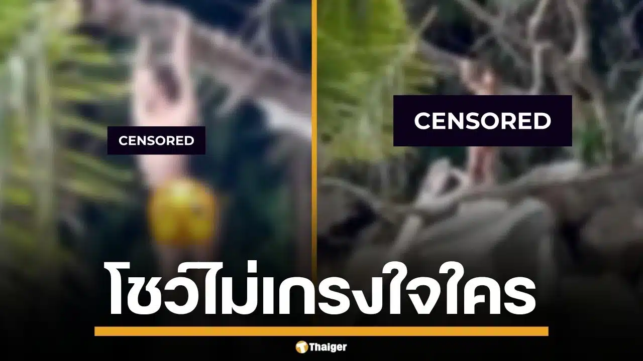 ทำไปได้! สาวต่างชาติ เปลือยผ้าล่อนจ้อน โชว์หุ่นแซ่บ โพสท่าสุดเย้ายวนกลางหาด