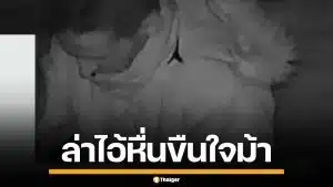 ทำไปได้! ตำรวจอังกฤษ เปิดภาพวงจรปิด ล่าชายโรคจิต ขืนใจม้าตัวเดิมนาน 2 ปี