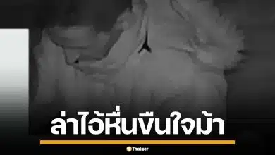 ทำไปได้! ตำรวจอังกฤษ เปิดภาพวงจรปิด ล่าชายโรคจิต ขืนใจม้าตัวเดิมนาน 2 ปี
