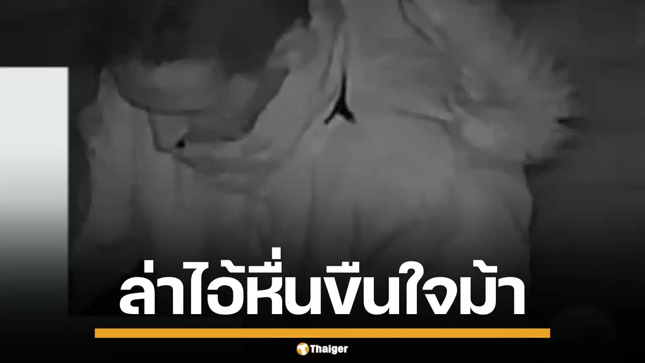 ทำไปได้! ตำรวจอังกฤษ เปิดภาพวงจรปิด ล่าชายโรคจิต ขืนใจม้าตัวเดิมนาน 2 ปี