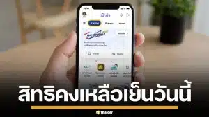 สิทธิคงเหลือ "ไทยช่วยไทย พลัส" เหลืออีกกี่สิทธิ ตอนนี้ยังลงทะเบียนทันไหม