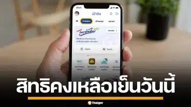 สิทธิคงเหลือ "ไทยช่วยไทย พลัส" เหลืออีกกี่สิทธิ ตอนนี้ยังลงทะเบียนทันไหม