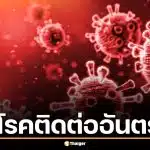สธ. จ่อยกระดับ ไวรัสฮันตา เป็นโรคติดต่ออันตราย สั่งเฝ้าระวังด่านพรมแดน